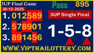 Thailand Lottery Special Pair Final Digit Sure Tips 30-12-2025