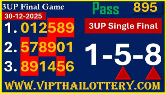 Thailand Lottery Special Pair Final Digit Sure Tips 30-12-2025