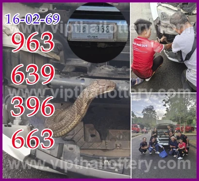 Thai Lottery Formula Thailand Live 01 March 2026