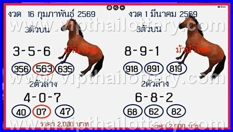 Thai Lottery Master Touch 3D Vip Tip Today 1St March 2026