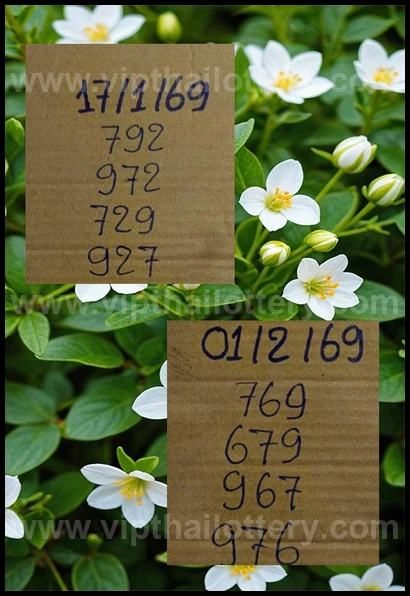 Thailand Lottery 3up Sure Set For 16-02-2026