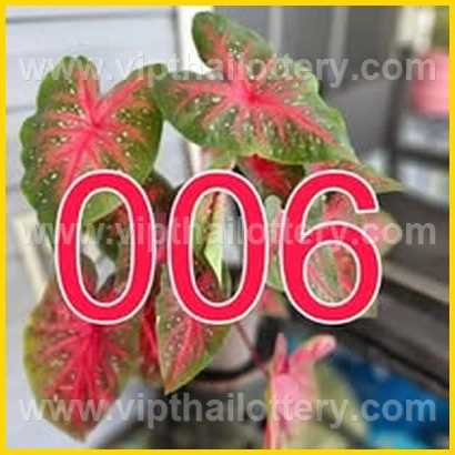 Result Lottery Today Thailand 16Th February 2026