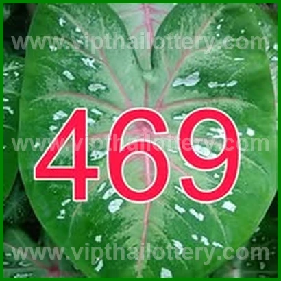 Result Lottery Today Thailand 16Th February 2026