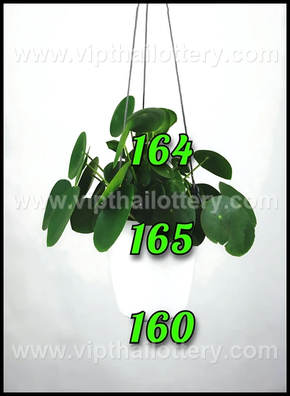 Thailand Lottery Number Draw 16Th February 2026