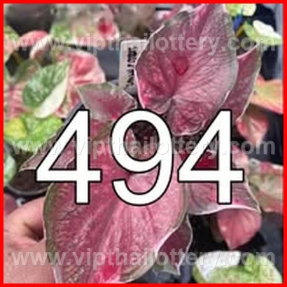 Result Lottery Today Thailand 16Th February 2026