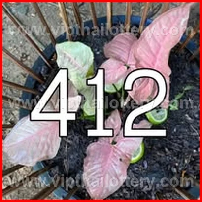 Result Lottery Today Thailand 16Th February 2026