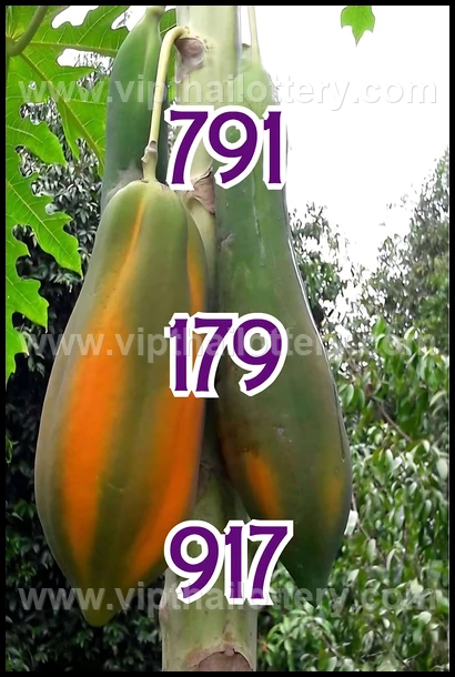 Thai Lottery Master Touch Formula 16Th February 2026