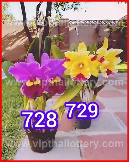 Thai Lottery Master Touch Formula 16Th February 2026