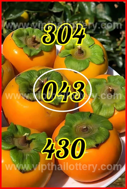 Thai Lottery Master Touch Formula 16Th February 2026
