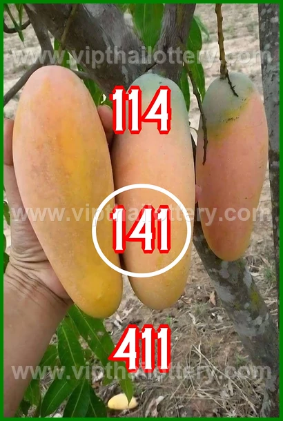 Thai Lottery Master Touch Formula 16Th February 2026