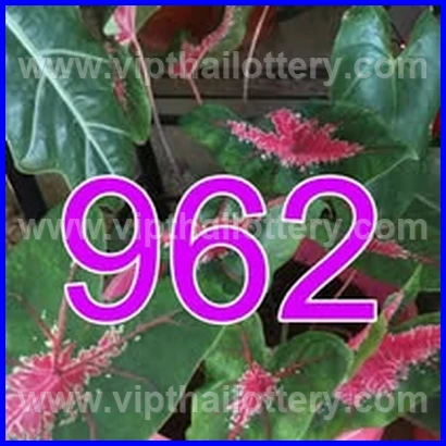 Result Lottery Today Thailand 16Th February 2026