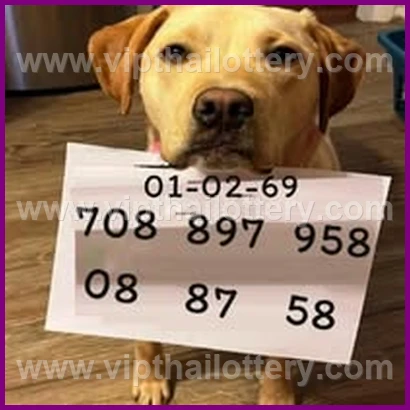 Thai Lotto Vip Total Thailand Lottery 100 Sure Number 16-02-26