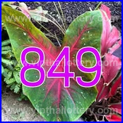 Result Lottery Today Thailand 16Th February 2026