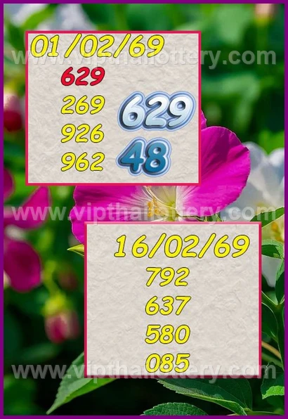 Thai 3D Lottery Result Today Live Thailand Draw 16-02-2026