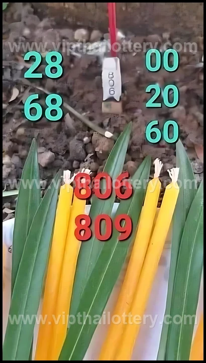 Thai Lottery Master Touch Formula 16Th February 2026