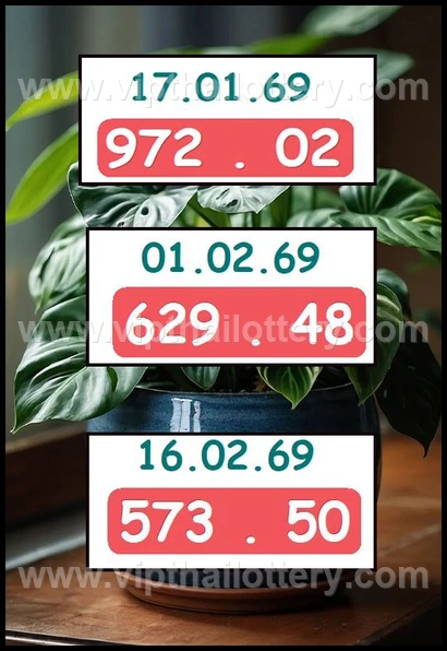 Thai 3D Lottery Result Today Live Thailand Draw 16-02-2026