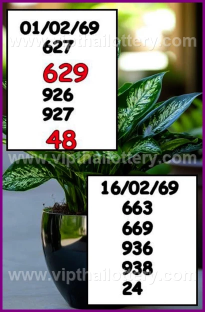 Thai Lotto Vip Total Thailand Lottery 100 Sure Number 16-02-26