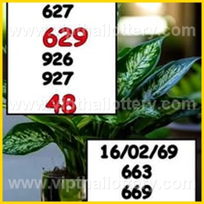 Thai Lotto Vip Total Thailand Lottery 100 Sure Number 16-02-26