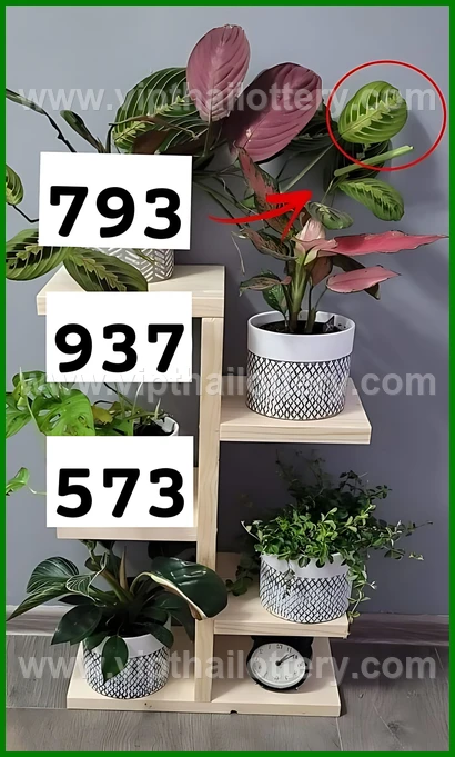 Thai Lotto Vip Total Lottery Lucky Number 16 February 2026