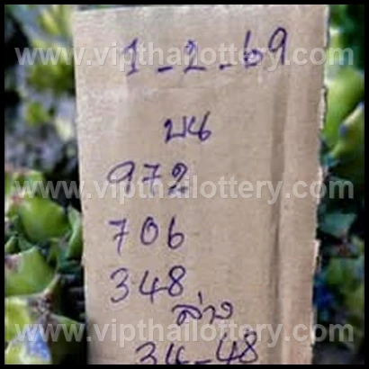 Thai Lotto Vip Total Lottery Lucky Number 16 February 2026