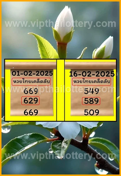 Thai 3D Lottery Result Today Live Thailand Draw 16-02-2026