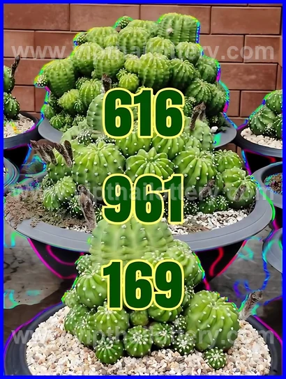 Thai Lottery Master Touch Formula 16Th February 2026