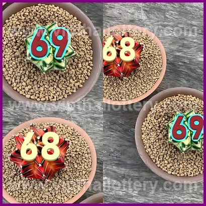 Thai Lotto Vip Total Lottery Lucky Number 16 February 2026