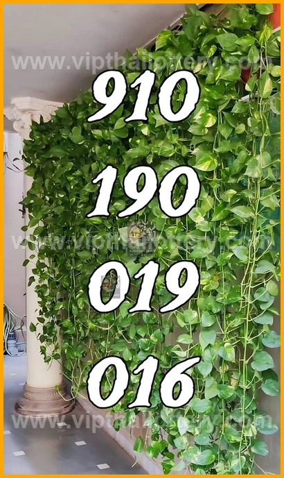 Thai Lotto Vip Total Lottery Lucky Number 16 February 2026