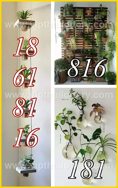 Thai Lotto Vip Total Lottery Lucky Number 16 February 2026