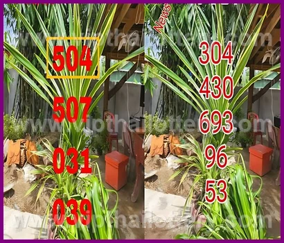 Thai Lotto Vip Total Lottery Lucky Number 16 February 2026