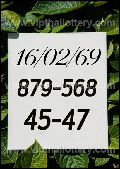 Thailand Lottery Number Thai 3Up Sure 16/02/2026