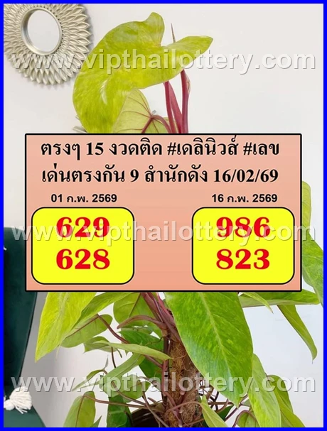 Thai Lottery Master Touch 3D Vip Tip Today 1St March 2026