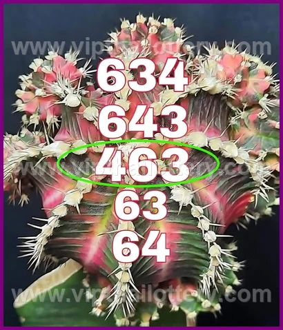Thailand Lottery Number Thai 3Up Sure 16/02/2026
