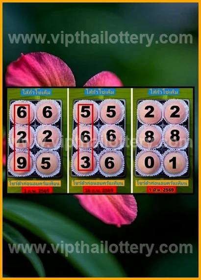 Thai Lottery 100 Sure Namber King 1St March 2026