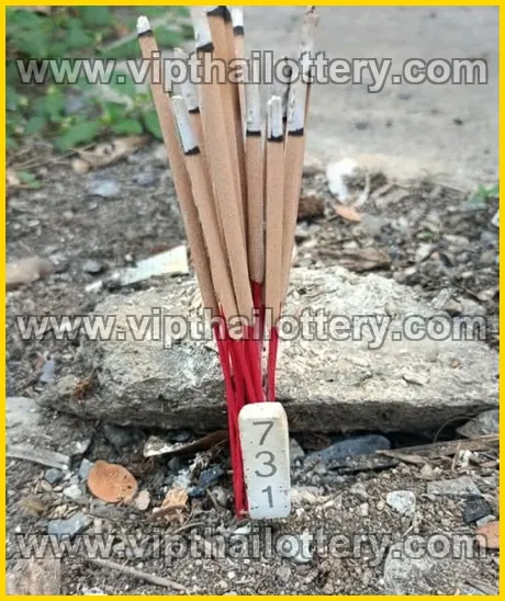 Thai Lotto Vip Total Lottery Sure Number 01-03-2026