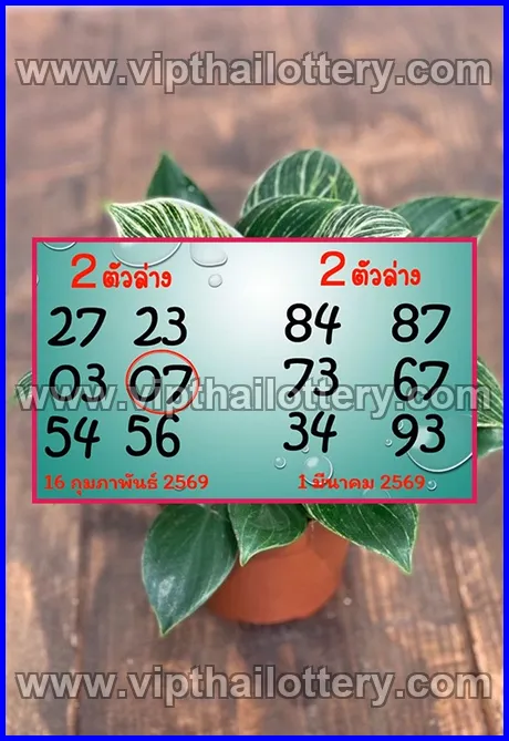 Thailand Lottery Today Thai Lotto Free Tips 123 1st March 2026