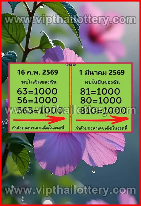 Thailand Lottery Today Thai Lotto Free Tips 123 1st March 2026