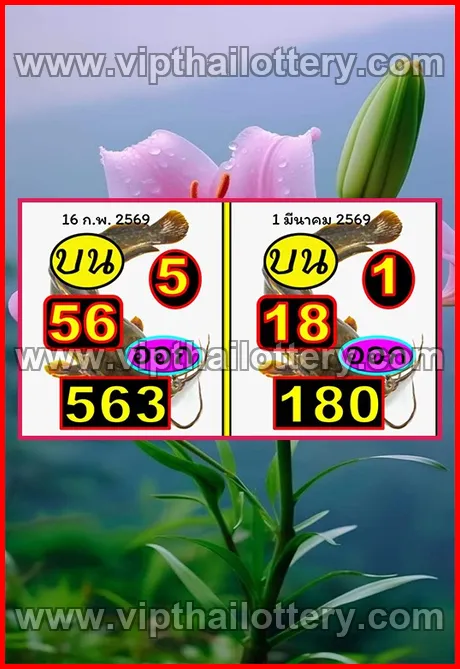 Thailand Lottery Today Thai Lotto Free Tips 123 1st March 2026