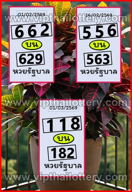 Thai Lottery Today Check Online Lotto Vip Total 1st March 2026