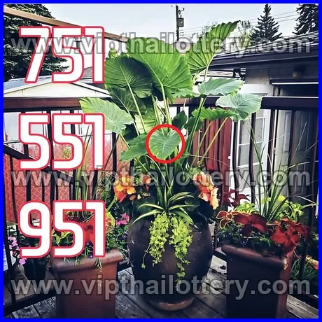 Thai Lottery Today Check Online Lotto Vip Total 1st March 2026