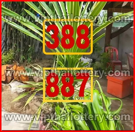 Thai Lotto Vip Total Lottery Sure Number 01-03-2026