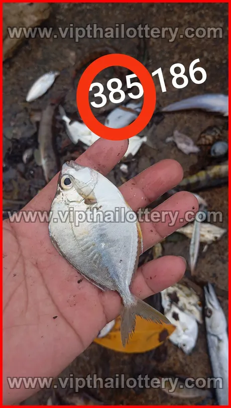 Thai Lottery 3D Vip Tip Thailand Paper Today 16-03-2026