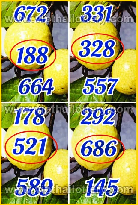 Thailand Government Lottery Thai Vip Sure Number 16th March 2026