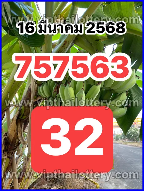 Thailand Lottery Direct Win Bangkok Vip Tips Open Thai 16-03-2026