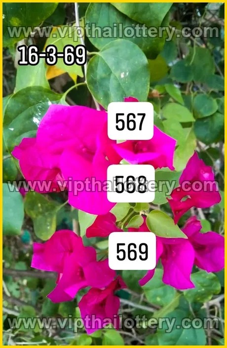 Thai Lottery 3D Vip Tip 3Up Direct 16th March 2026