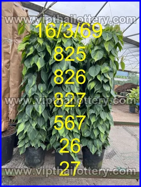 Thailand Lottery Paper Today Down Number Chart 16-03-2026