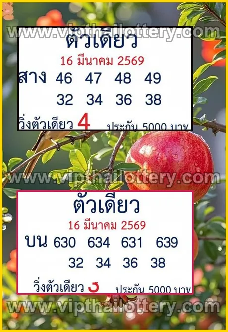 Thai Lottery 3D Vip Tip Today Lotto Total 16/03/2026