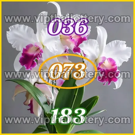 Thailand Lottery Paper Today Down Number Chart 16-03-2026