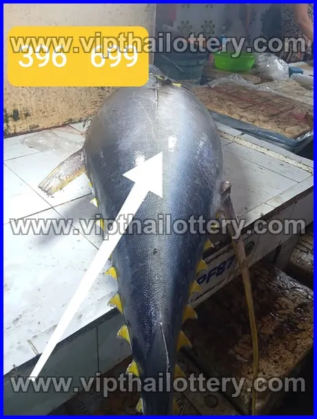 Thai Lottery 3Up Direct Thailand Down Number Chart 16-03-26