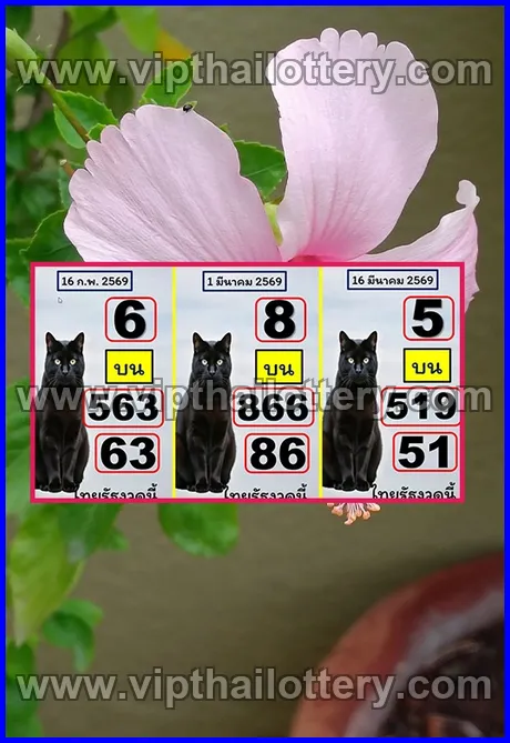 Thai Lottery 3D Vip Tip Today Lotto Total 16/03/2026